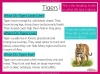 Headings and Subheadings - Years 3 and 4 Teaching Resources (slide 5/15)